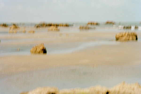 Memory master Brazil by Jacquie Maria Wessels Memory master coast Brazil 2001 Jacquie Maria Wessels